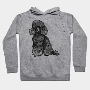 Cute Black Toy Poodle Dog Hoodie